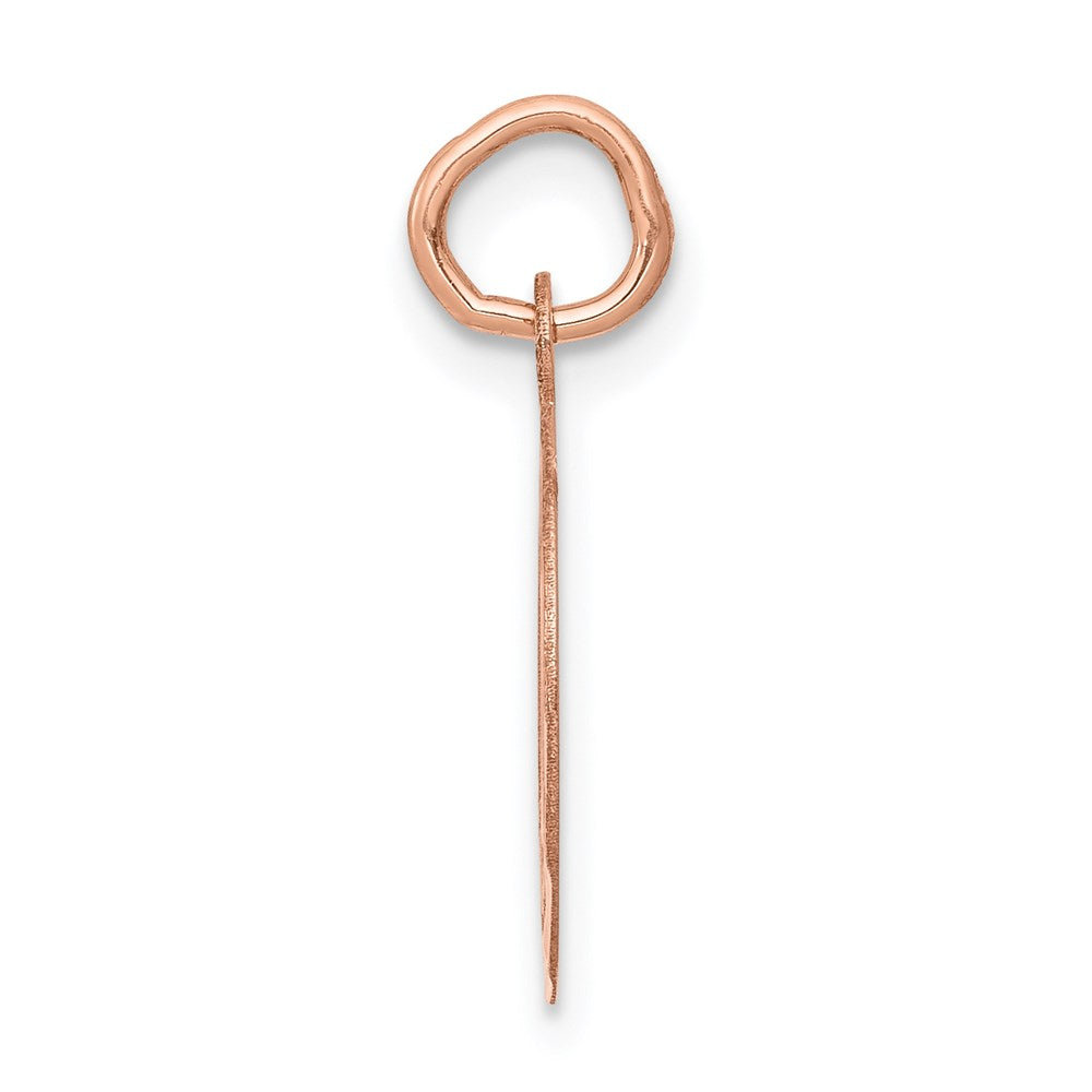 14k Rose Gold 14k Rose-Gold Holy Communion Charm