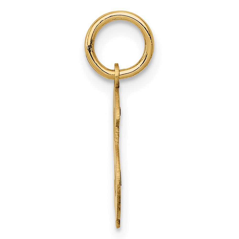 14k Yellow Gold 14k Polished Dollar Sign Charm