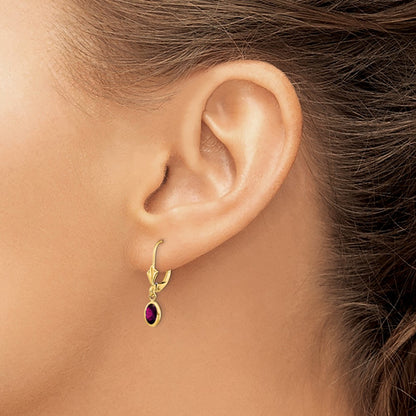 14K Yellow Gold 6X4 Oval Bezel June/Rhodolite Leverback Earrings