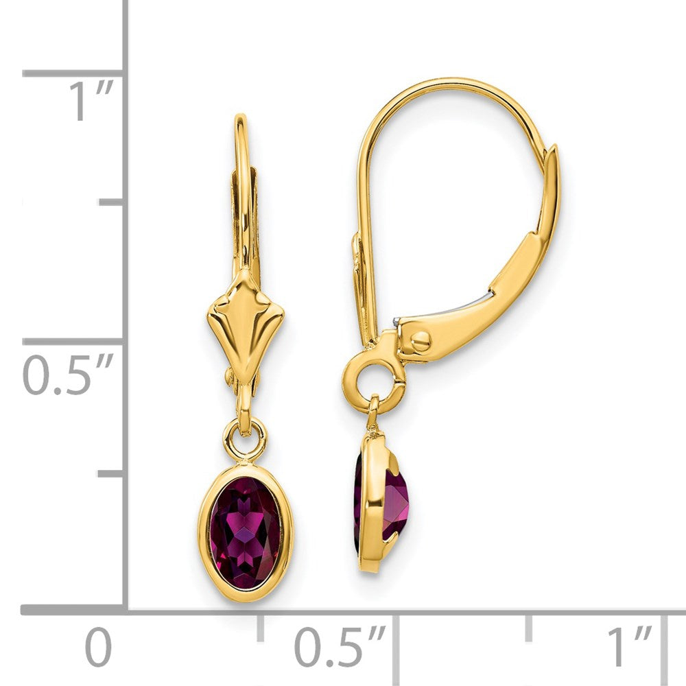 14K Yellow Gold 6X4 Oval Bezel June/Rhodolite Leverback Earrings