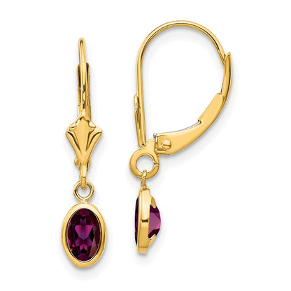 14K Yellow Gold 6X4 Oval Bezel June/Rhodolite Leverback Earrings