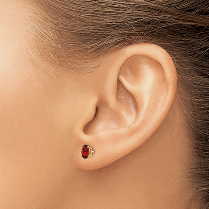 14K Yellow Gold Garnet Earrings January
