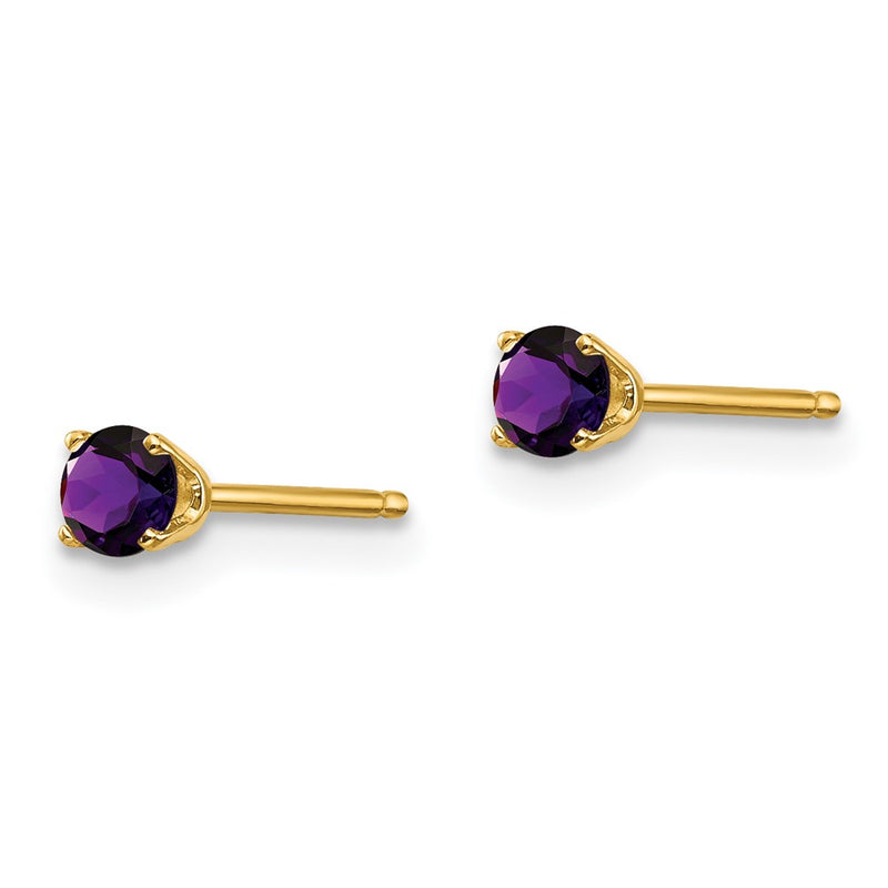 14K Yellow Gold 3mm February/Amethyst Post Earrings
