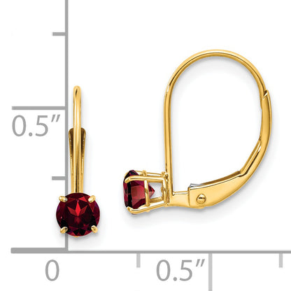 14K Yellow Gold Garnet Earrings January