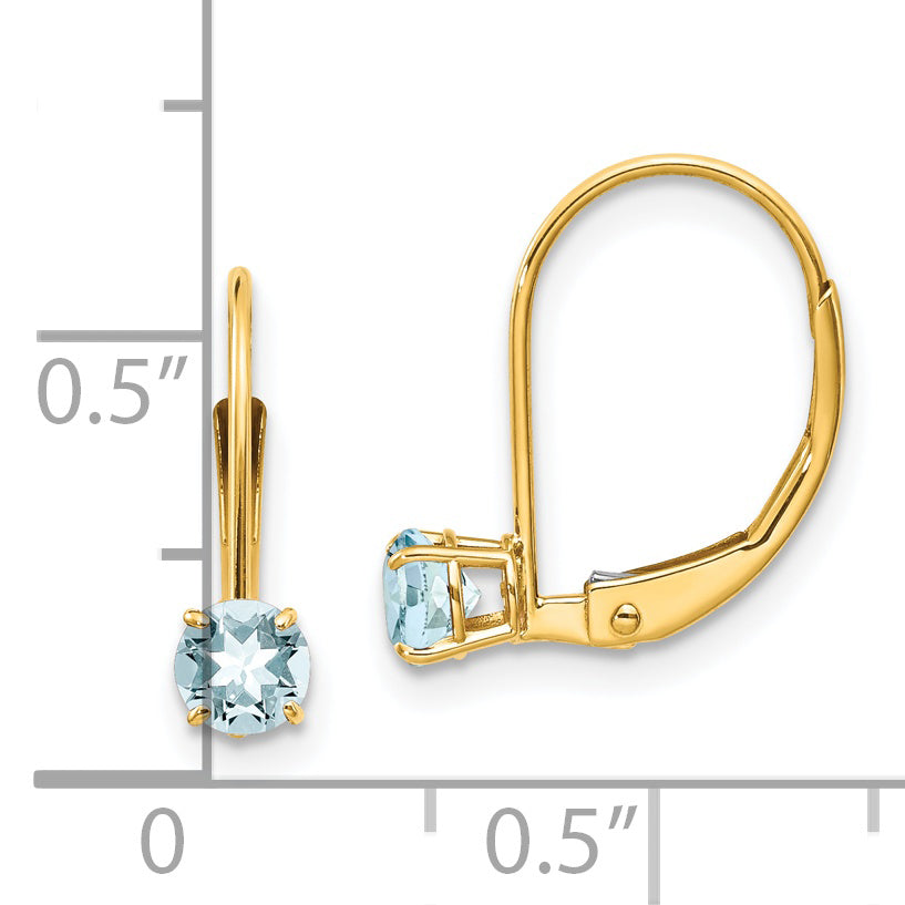 14K Yellow Gold Aquamarine Earrings March