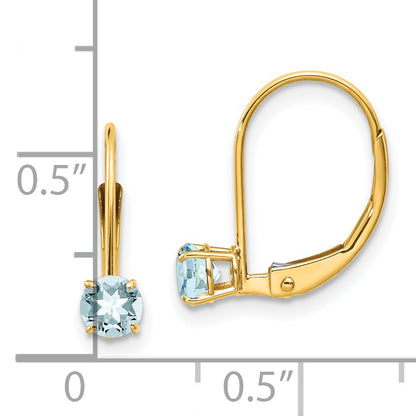 14K Yellow Gold Aquamarine Earrings March