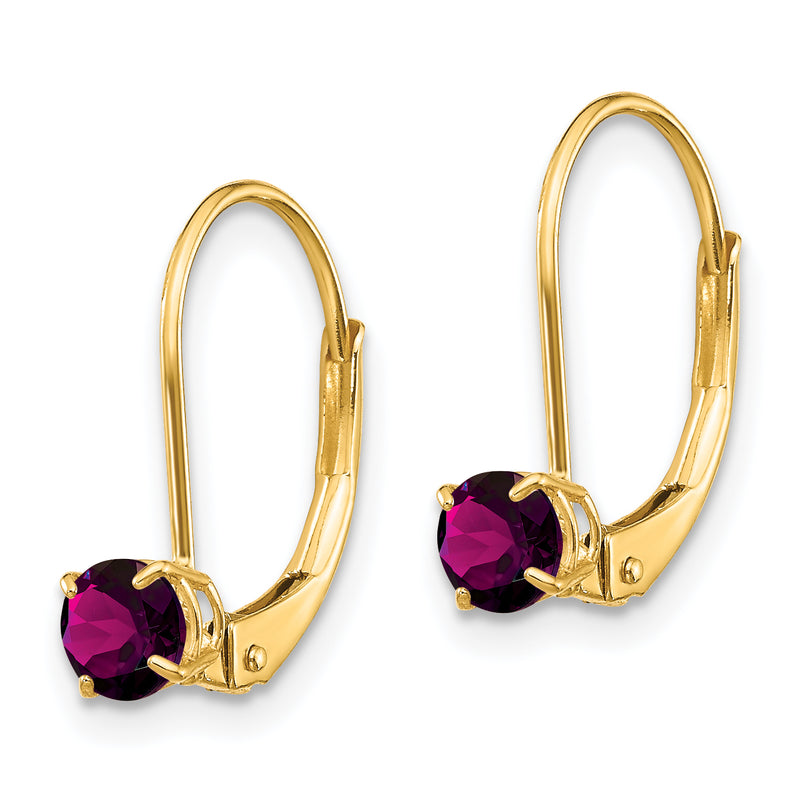 14K Yellow Gold 4mm Round June/Rhodolite Leverback Earrings