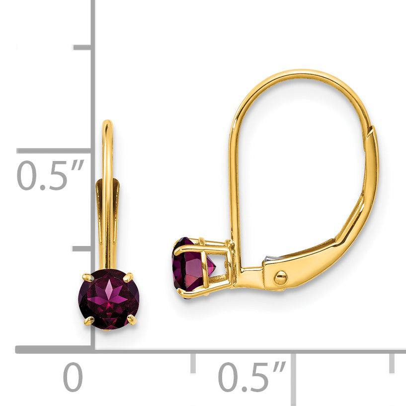 14K Yellow Gold 4mm Round June/Rhodolite Leverback Earrings