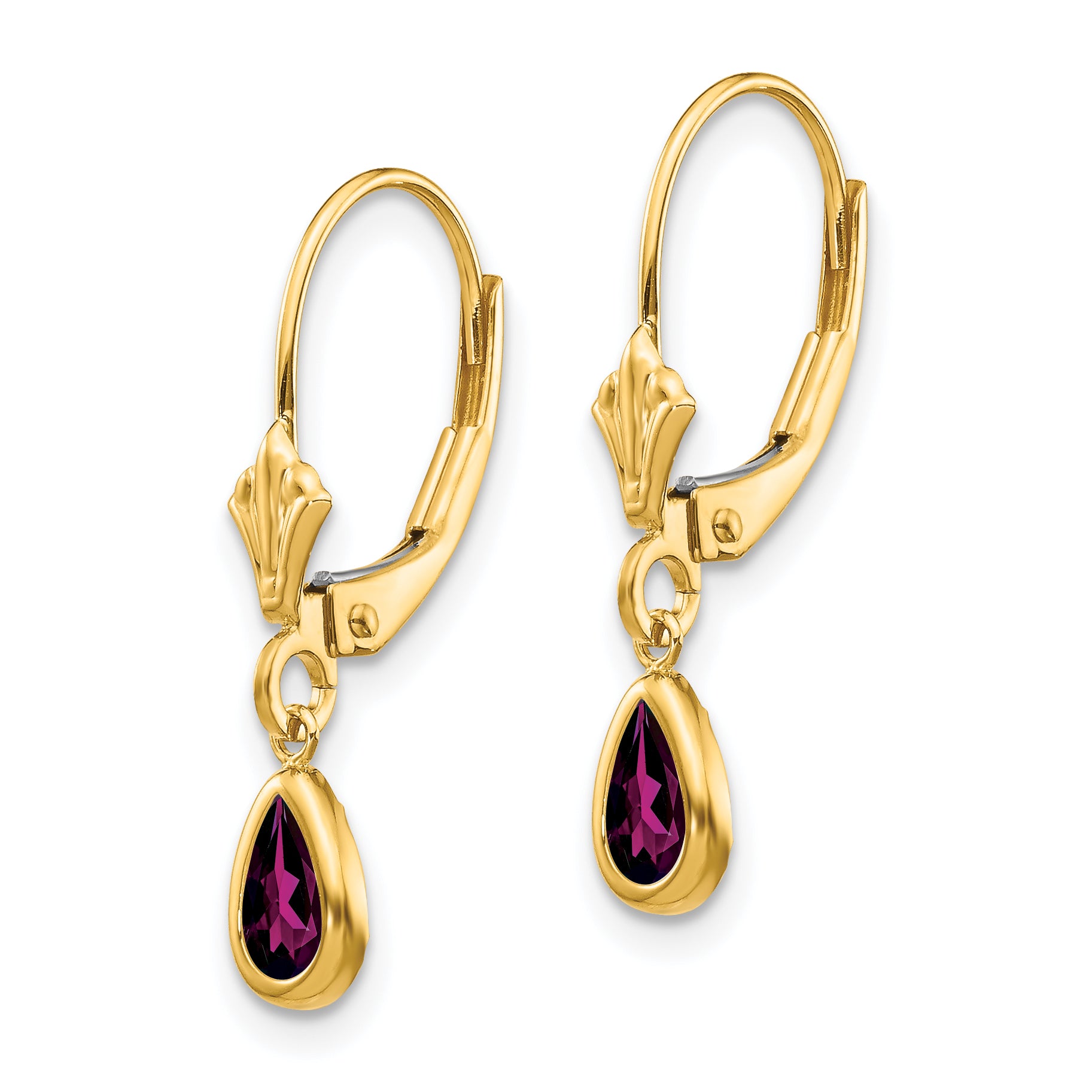 14K Yellow Gold 6X4mm Rhodolite Garnet/June Earrings