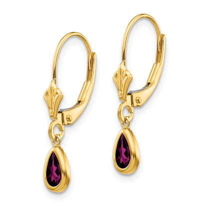 14K Yellow Gold 6X4mm Rhodolite Garnet/June Earrings