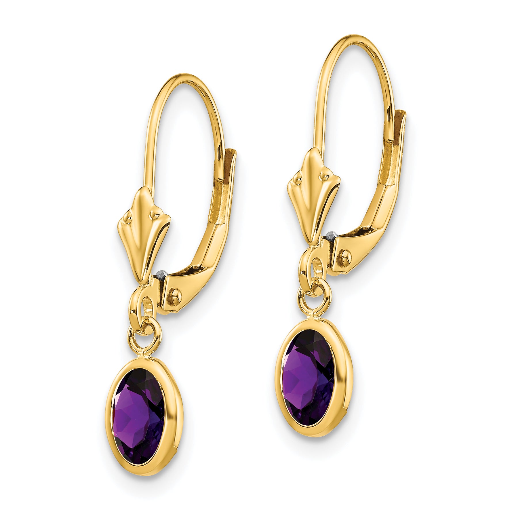 14K Yellow Gold 6X4mm February/Amethyst Earrings