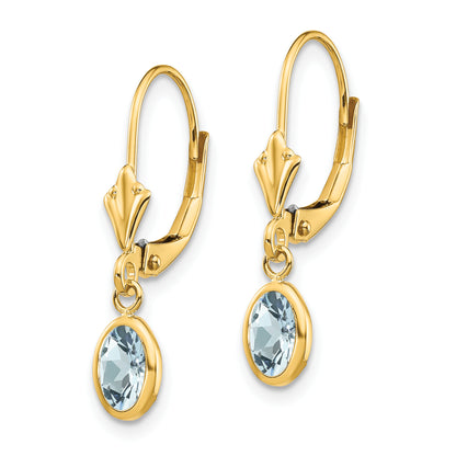 14K Yellow Gold 6X4mm Aquamarine/March Earrings