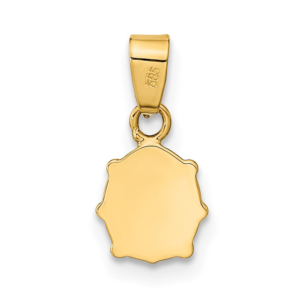 14k Yellow Gold 14K Polished Red/Black Enamel Ladybug Pendant
