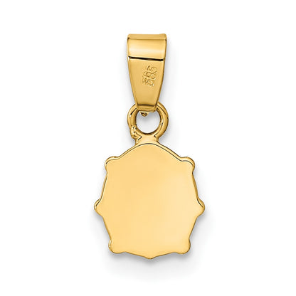 14k Yellow Gold 14K Polished Red/Black Enamel Ladybug Pendant
