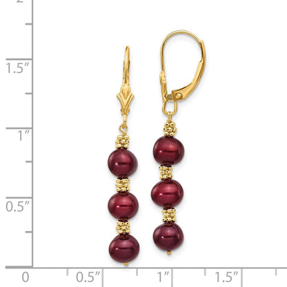 14K Yellow Gold 5 6mm Brown Semi Round Freshwater Cultured Pearl Dangle Leverback Earrings
