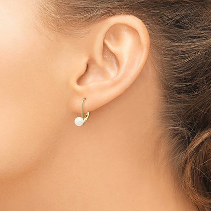 14K Yellow Gold 5 6mm White Round Akoya Saltwater Cultured Pearl Leverback Earrings