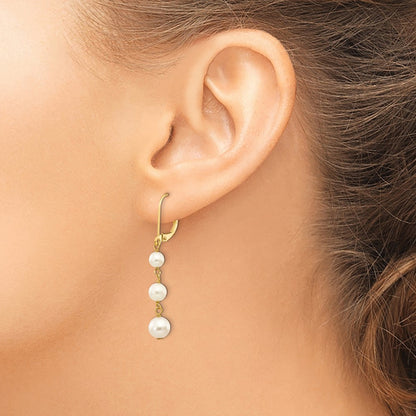 14K Yellow Gold 4 6mm White Semi Round Freshwater Cultured Pearl Dangle Leverback Earrings