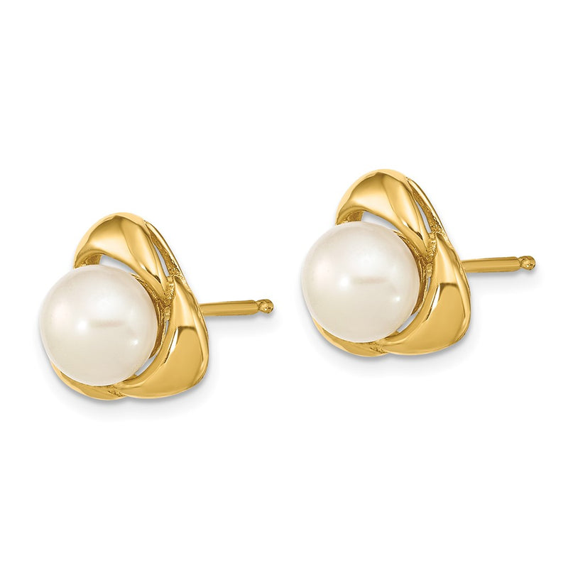 14K Yellow Gold 5 6mm White Button Freshwater Cultured Pearl Post Earrings