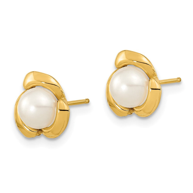 14K Yellow Gold 5 6mm White Button Freshwater Cultured Pearl Post Earrings