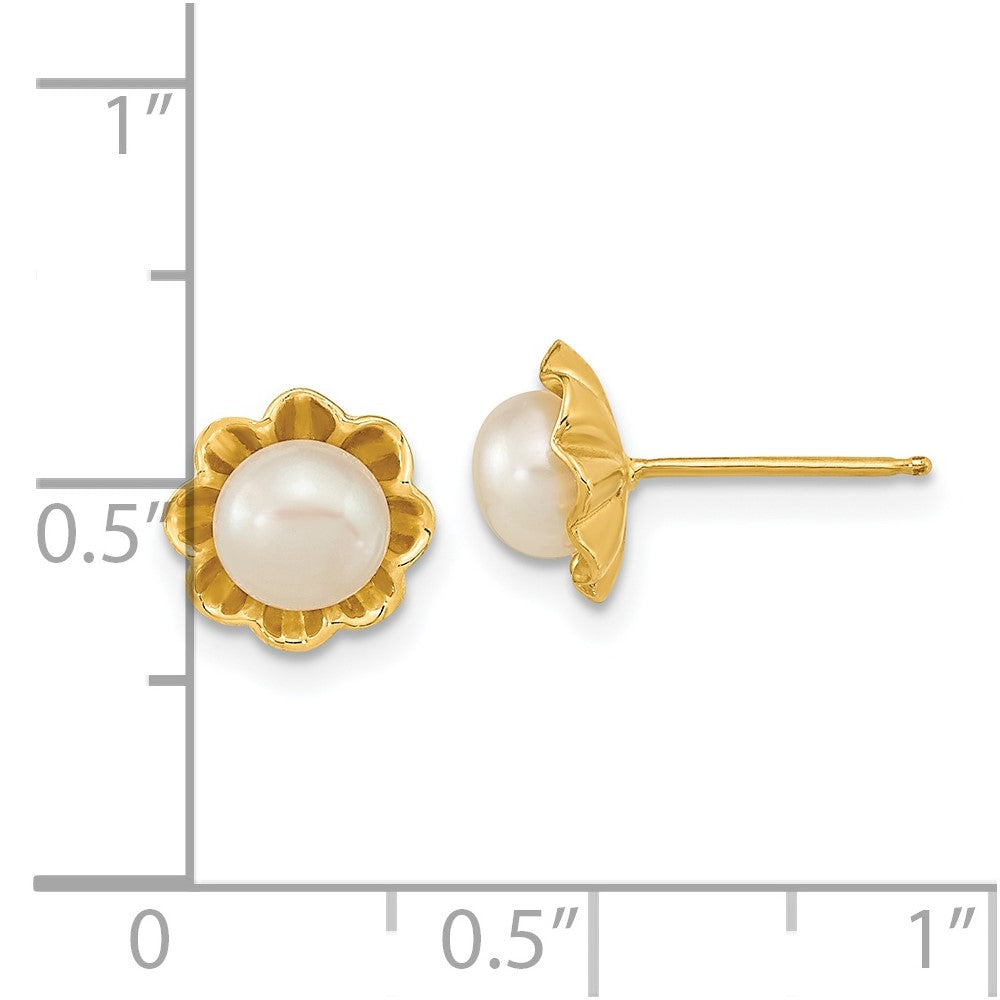 14K Yellow Gold 5 6mm White Button Freshwater Cultured Pearl Post Earrings