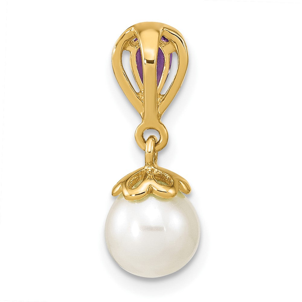 14k Yellow Gold 14K Gold w/ Amethyst & Freshwater Cultured Pearl Polished Chain Slide