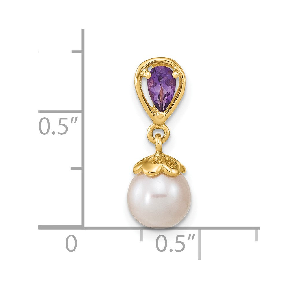 14k Yellow Gold 14K Gold w/ Amethyst & Freshwater Cultured Pearl Polished Chain Slide