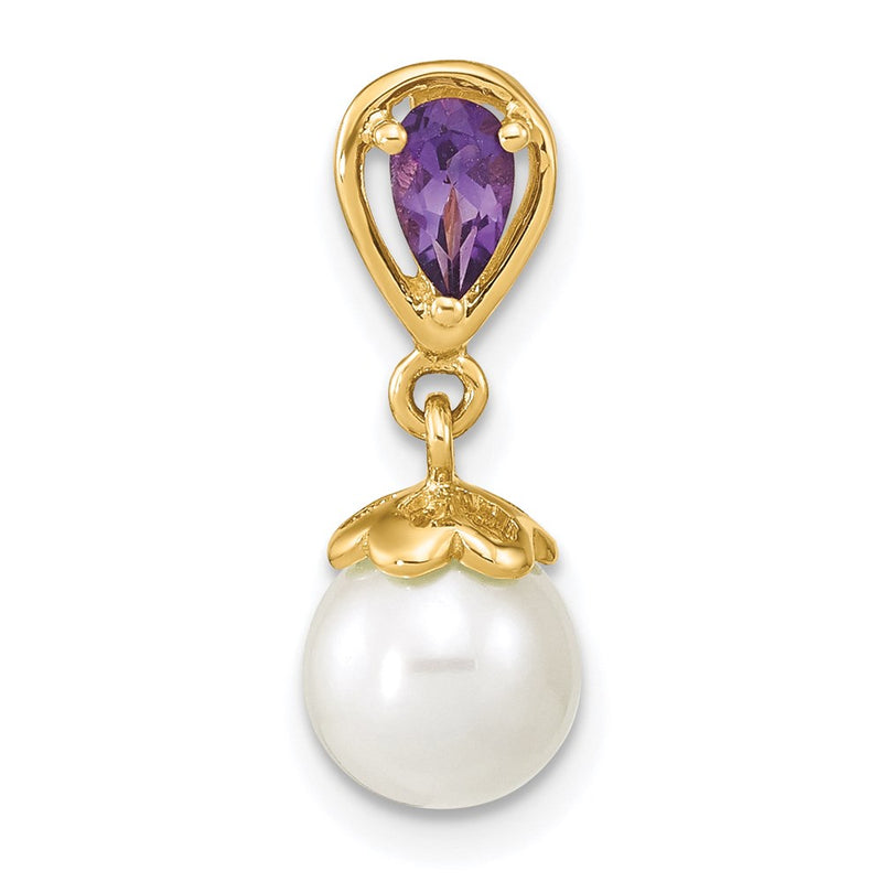 14k Yellow Gold 14K Gold w/ Amethyst & Freshwater Cultured Pearl Polished Chain Slide