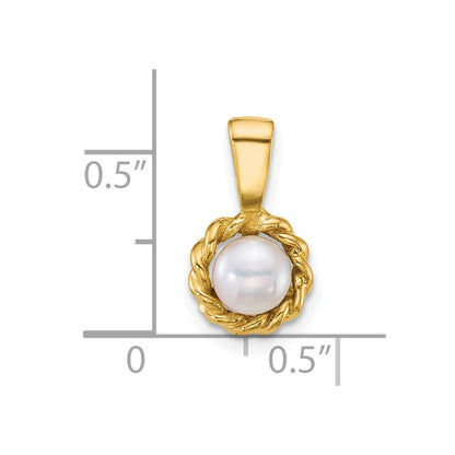 14K Yellow Gold Polished 5-6mm Button Freshwater Cultured Pearl Pendant