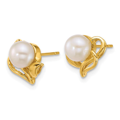 14K Yellow Gold Polished 6-7mm Button Freshwater Cultured Pearl Flower Post Earrings