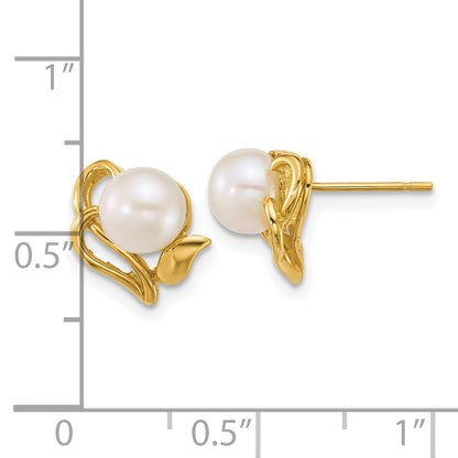 14K Yellow Gold Polished 6-7mm Button Freshwater Cultured Pearl Flower Post Earrings