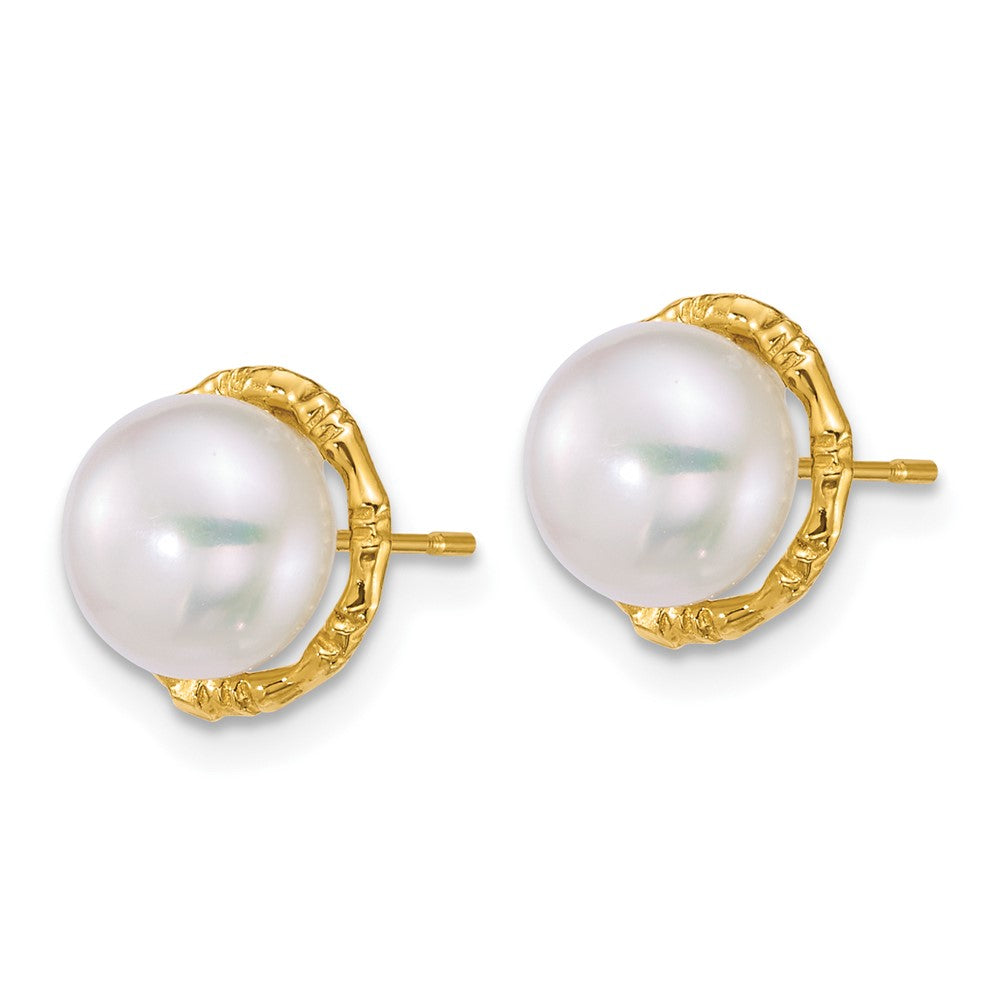 14K Yellow Gold Polished 7-8mm Button Freshwater Cultured Pearl Post Earrings