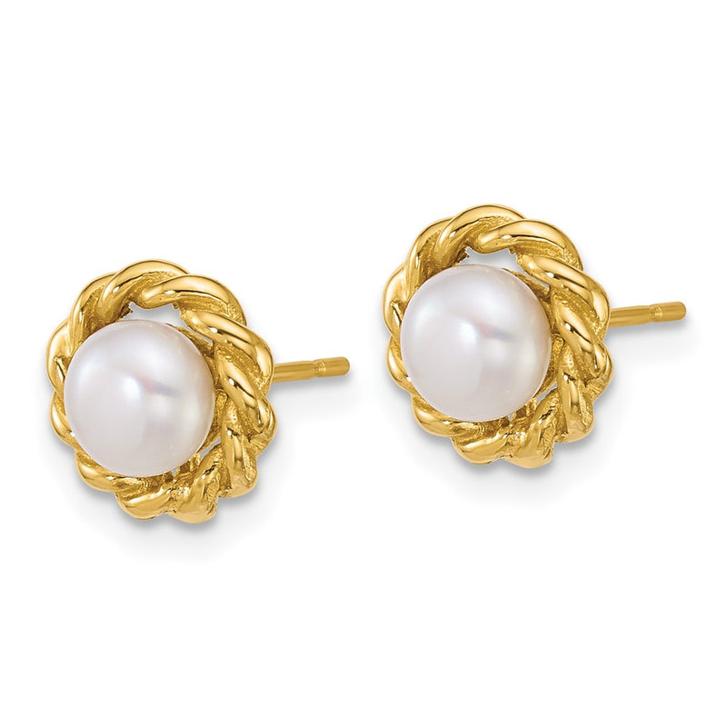 14K Yellow Gold Polished 5-6mm Button Freshwater Cultured Pearl Post Earrings
