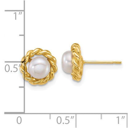 14K Yellow Gold Polished 5-6mm Button Freshwater Cultured Pearl Post Earrings