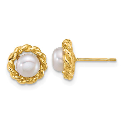 14K Yellow Gold Polished 5-6mm Button Freshwater Cultured Pearl Post Earrings