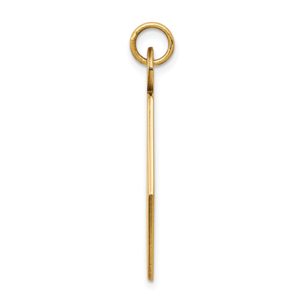 14k Yellow Gold 14k Red Enamel Medical Jewelry Pendant