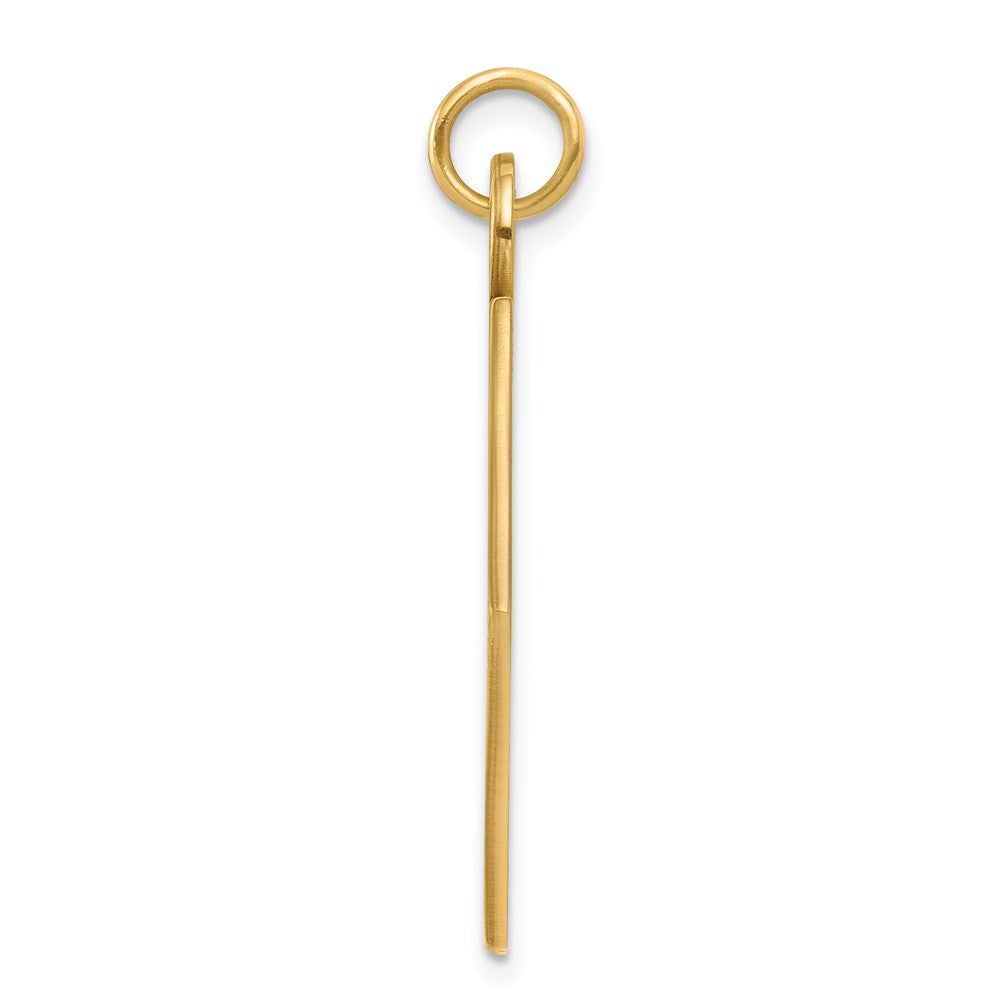 14k Yellow Gold 14k Medical Jewelry Unenameled Pendant
