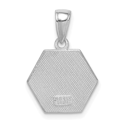14k White Gold 14K White Gold Textured Back Enameled Medical Disk Pendant