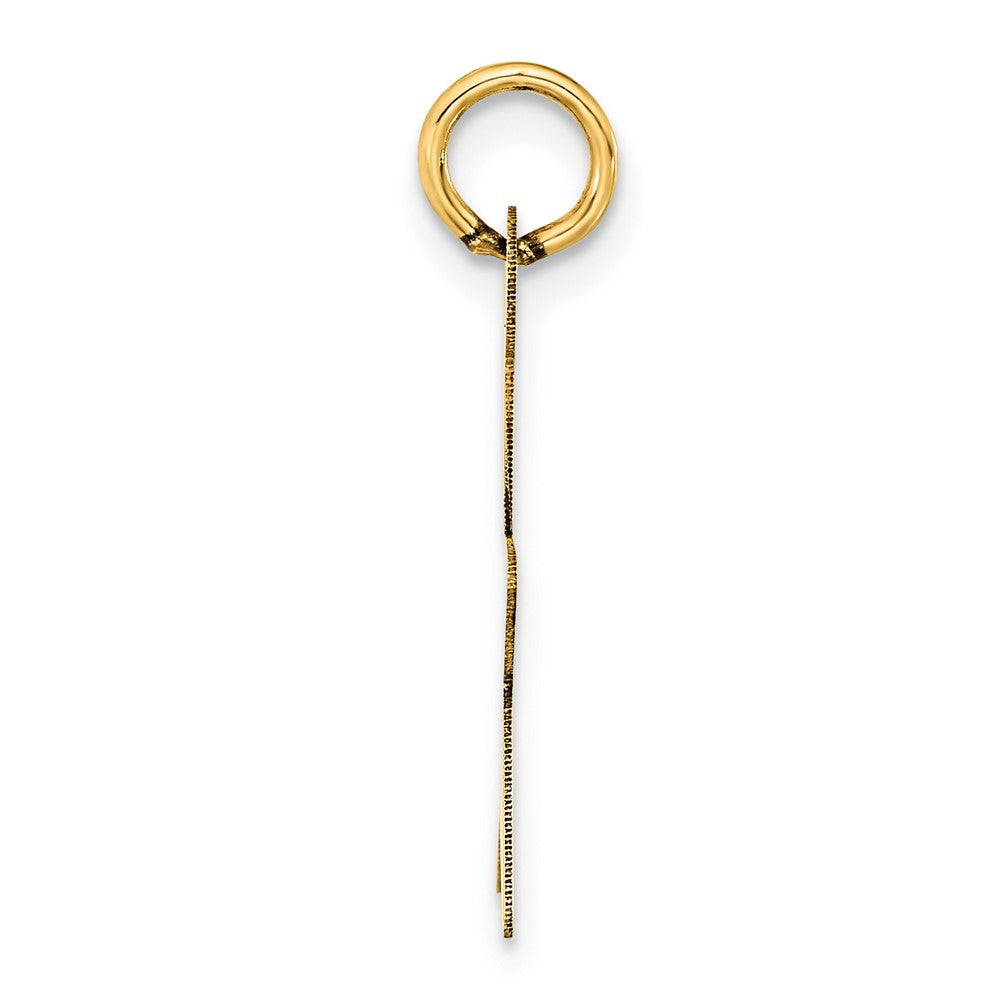 14k Yellow Gold 14K Star Disc Charm