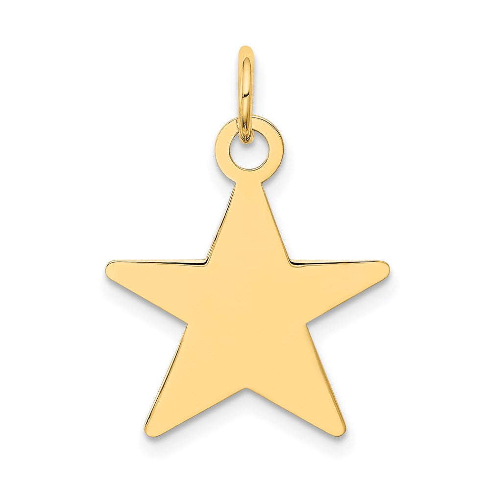 14k Yellow Gold 14K Star Disc Charm