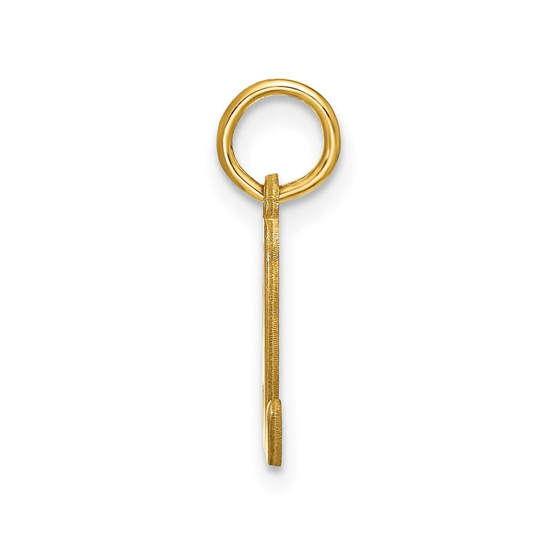 14k Yellow Gold 14KY Lower case Letter D Initial Charm