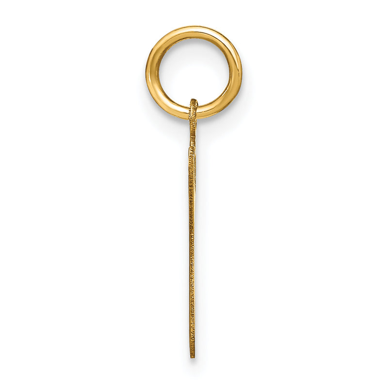 14k Yellow Gold 14KY Lower case Letter G Initial Charm