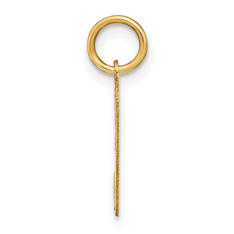 14k Yellow Gold 14KY Lower case Letter H Initial Charm