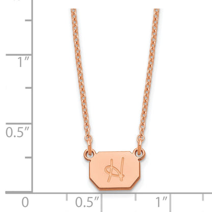 XNA1349RP [QG:XNA1349RP:2]