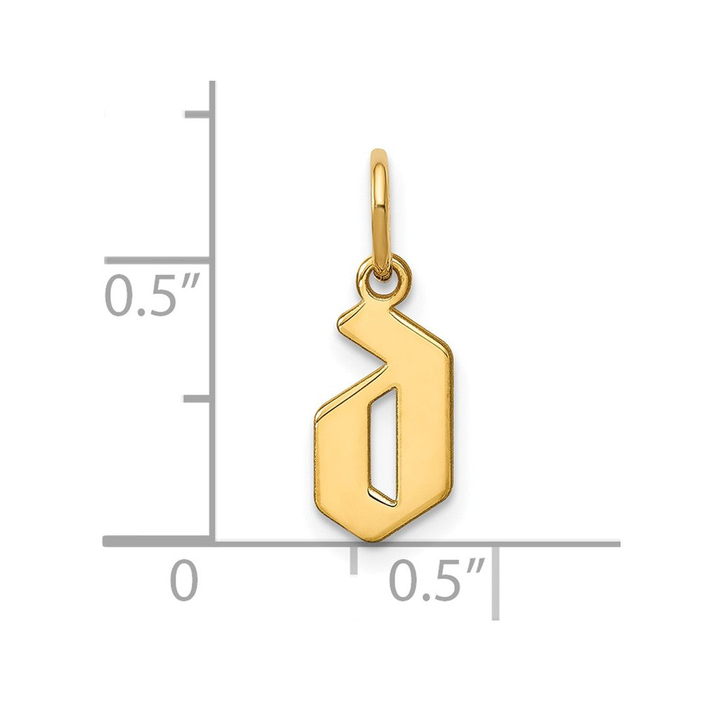 14k Yellow Gold 14KY Lower case Letter D Initial Pendant