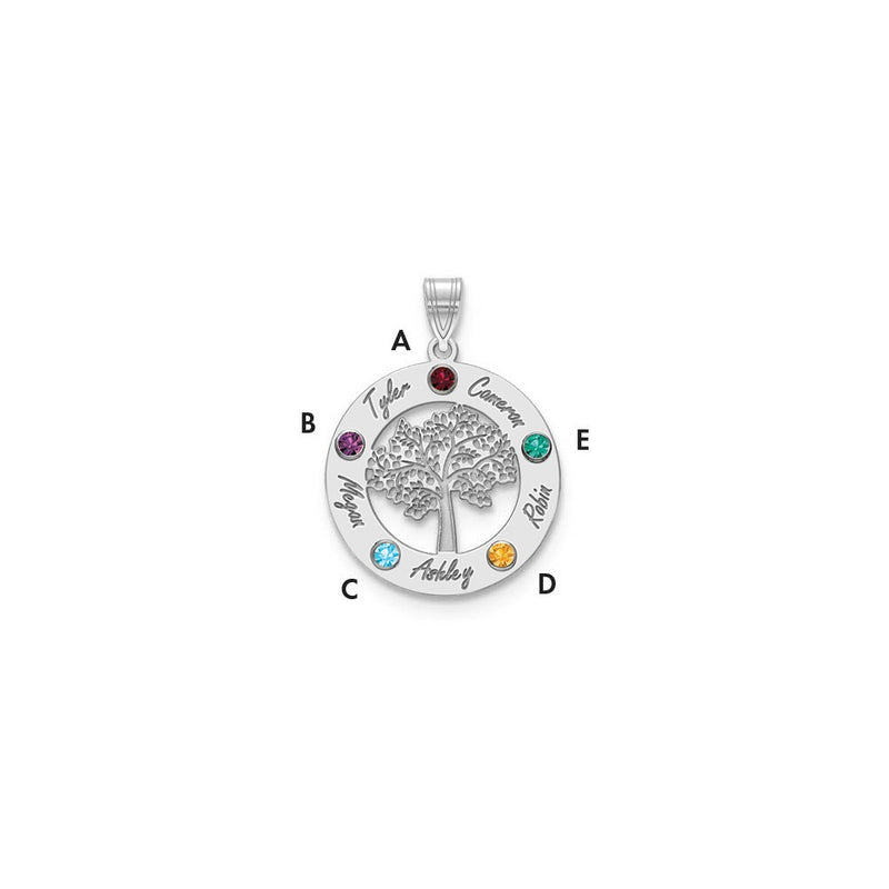 14K White Gold 14Kw Family Tree Circle 5 Names & Birthstones W/ 18K Rhodium Plated Bezels