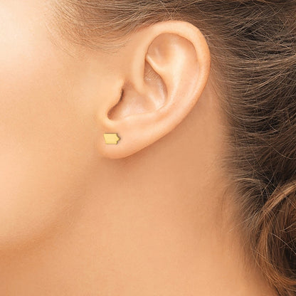 Gold Plated Sterling Silver/Gold Iowa State Earrings