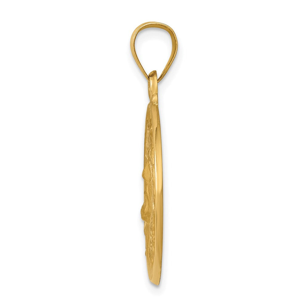 14k Yellow Gold 14k Polished and Satin Face of Jesus Medal Hollow Pendant