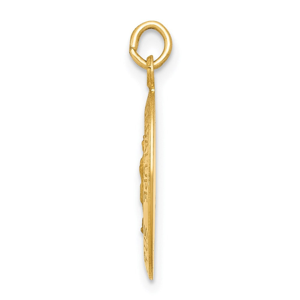 14k Yellow Gold 14k Polished and Satin Our Lady of Guadalupe Medal Pendant