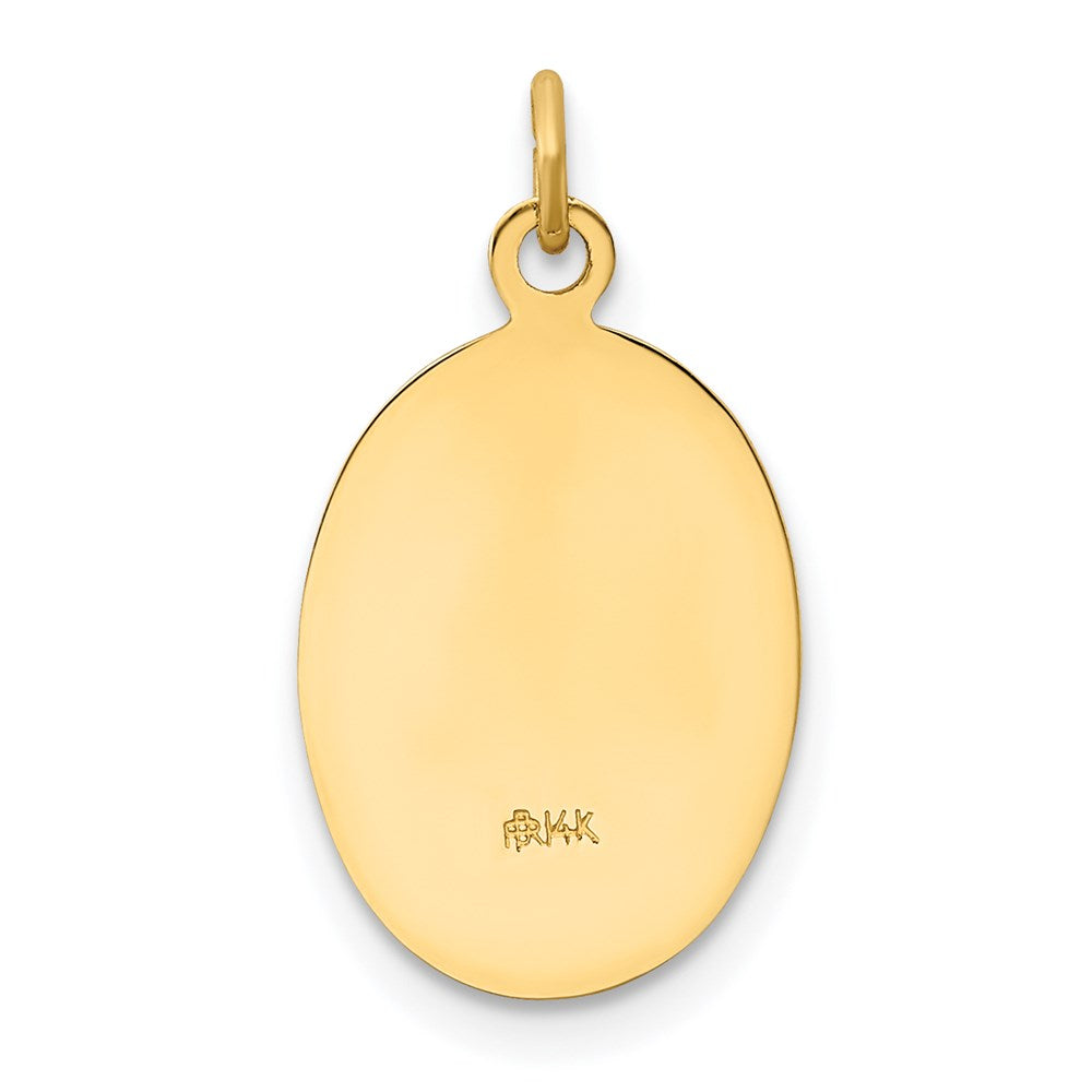 14k Yellow Gold 14k Polished and Satin Our Lady of Guadalupe Medal Pendant