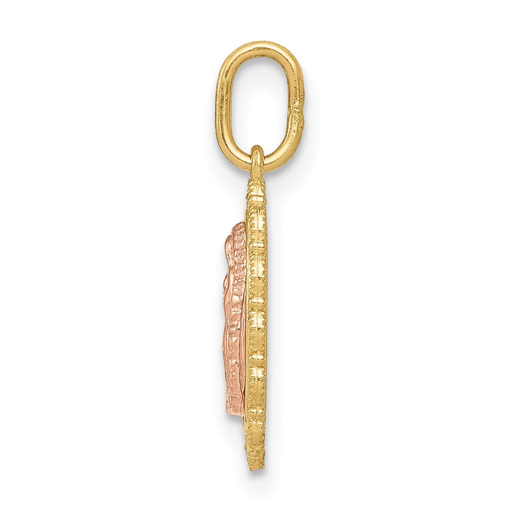 14k Two-tone 14k Two-tone Guadalupe Pendant